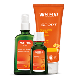 Kit Arnica G