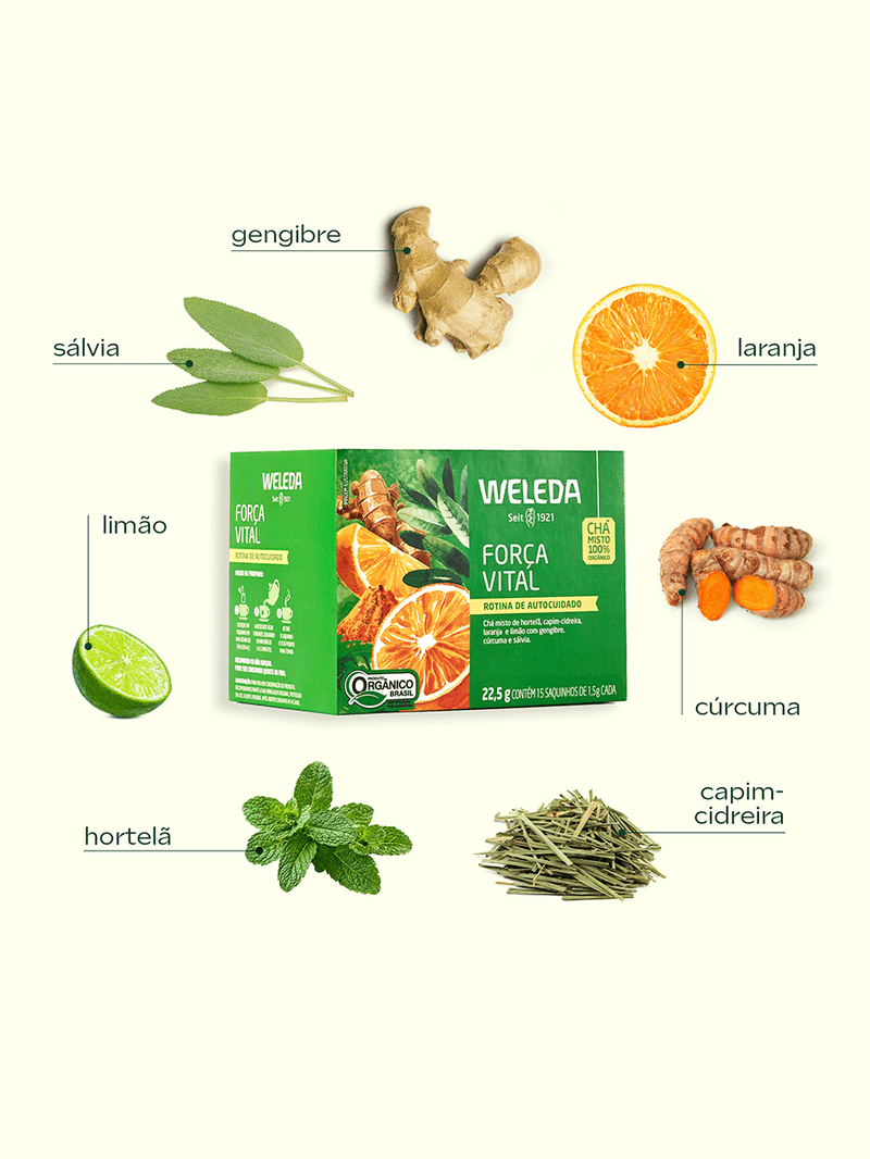 Card 3 -8-