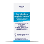 Bryophyllum_2
