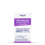 Sinudoron globulos_2